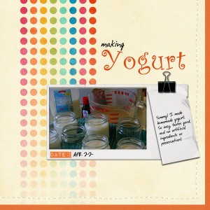 Homemade Yogurt