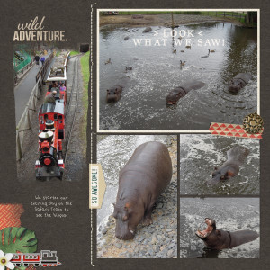 Hippos