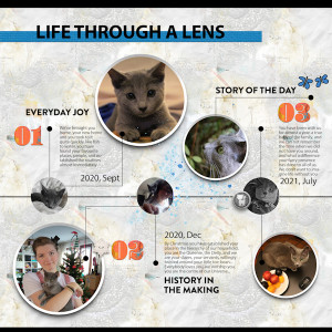 21-20_cat Timeline