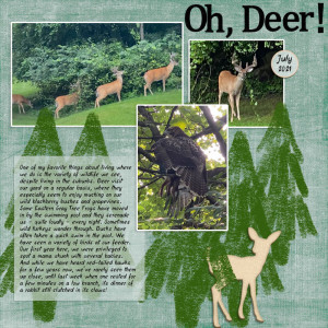 Oh, Deer!