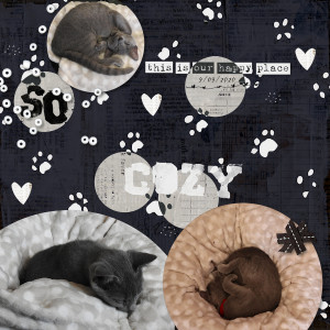 200909_Fav Sleep Cozy