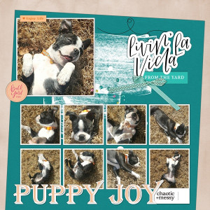 Elif Sahin July Challenge - JOY
