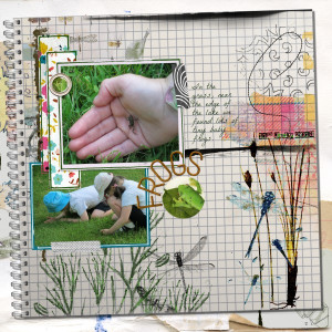 Field Journal - Baby Frogs