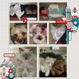 2010 Christmas Naps