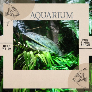 Aquarium Cover