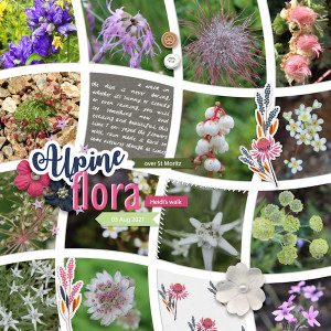 210803_flora Alps