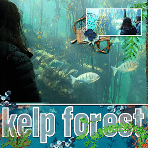 KelpForrest