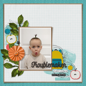 Troublemaker