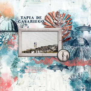 Tapia