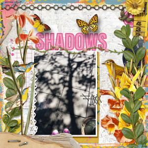 Shadows
