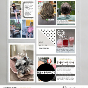 PL2021 - Week 27 | Sahlin Studio