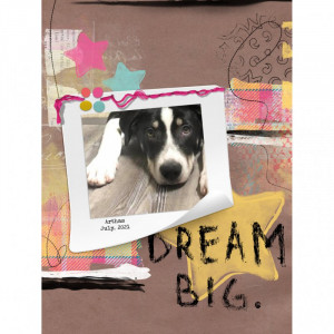 Dream Big