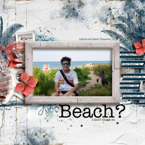 Beach? - Journaling Challenge FF 08/06