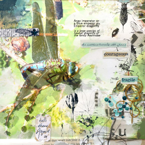 210806_dragonfly