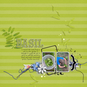 Basil