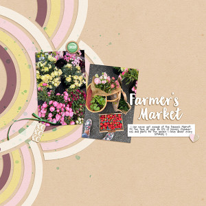 Farmer's Market