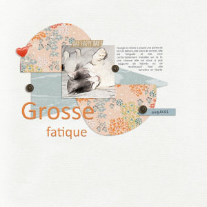 Grosse fatigue