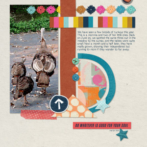 Scrapping-with-Liz_2021-08_August-MIS_web