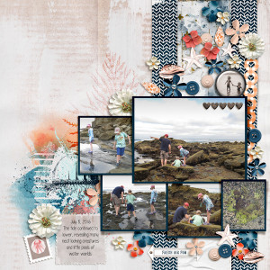 20160708 exploring the tide pools