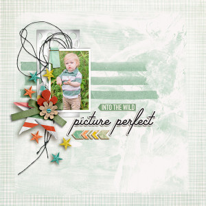 SOSN_8-11_JJ_LG_Picture Perfect