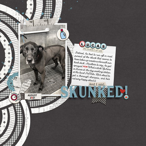 Aug 21 Template Challenge: Skunked