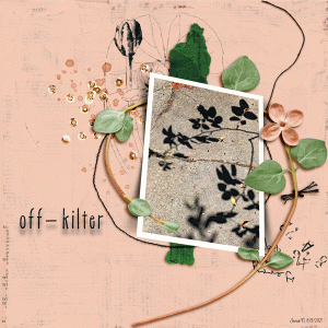 Photography_offkilter