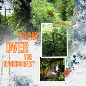 2005-11-Dominica-copy1