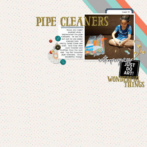 Pipe Cleaners
