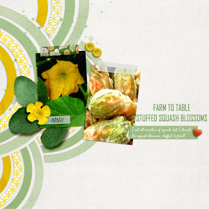 Squash Blossoms
