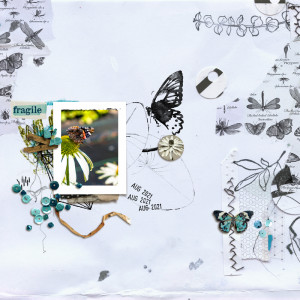 fragile