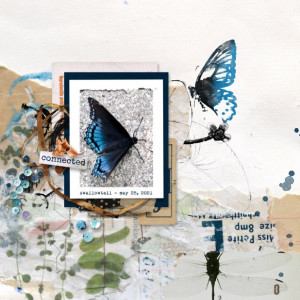 Rachel-Jefferies_2021-08_August_NEW_0813_Anisoptera-Bundle_TP_web_800w