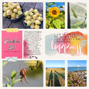 Week 32 2021 a
