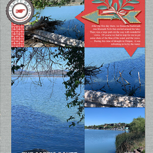 TheScenicRoute_flowersgal_web