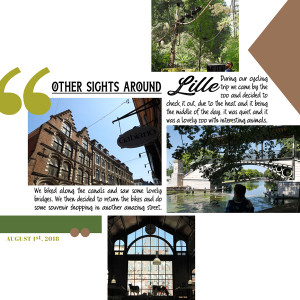 Photo Album LILLE 2018 - PAGE 8