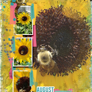 Prd_21_08_gaelle_temp Challenge Bees And Sunflowers