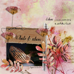210822_echoes Whale