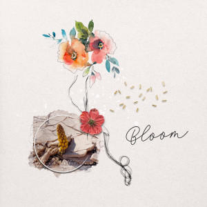 August 2021 Inspiration Challenge