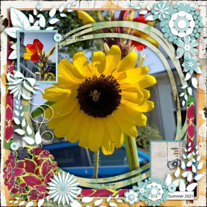 August 2021 Fiddle Dee Dee Template Challenge Garden Love