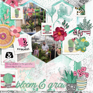 Bloom & Grow