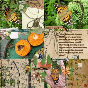 August 29th 2021 Painted Lady Freedom Day