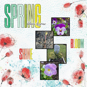 Inspiration challenge August 2021