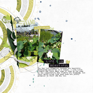 Template: August 2021 - Lotus Flower