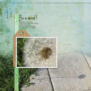 Be a Weed