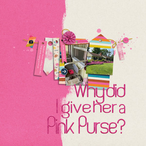Why did I give her a pink purse?