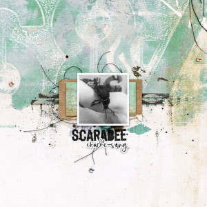 Scarabee crache-sang