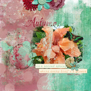 Autumn Flowers