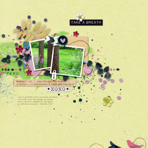 Pink-Reptile-Designs_2021-09_September_NEW_0903_BYOC_Tranquility_web
