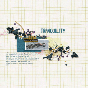 Tranquility