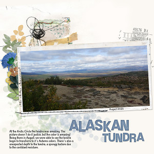 Alaskan Tundra