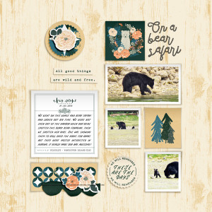 On A Bear Safari